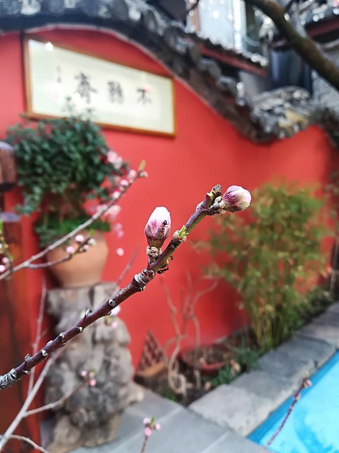 Lijiang Buwuzhai Inn Экстерьер фото