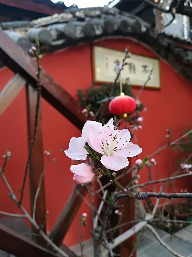 Lijiang Buwuzhai Inn Экстерьер фото